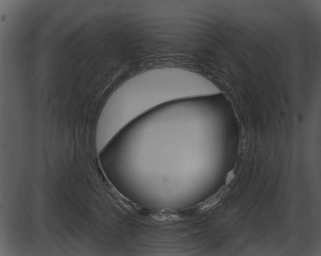 X0000087510712200704270754