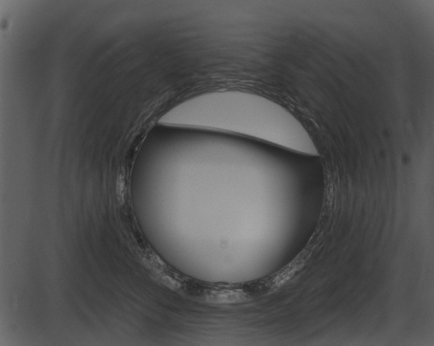X0000087510716200704270754