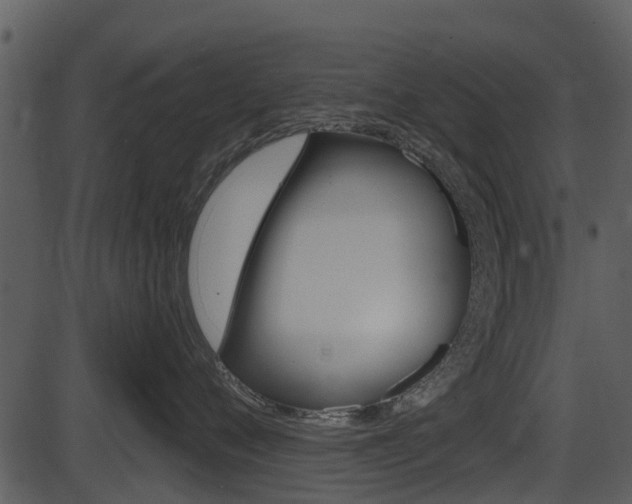X0000087510720200704270754