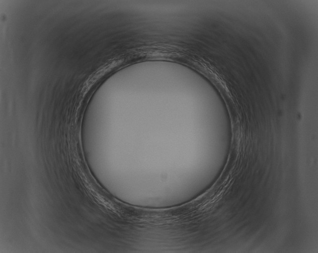 X0000087510721200704270753