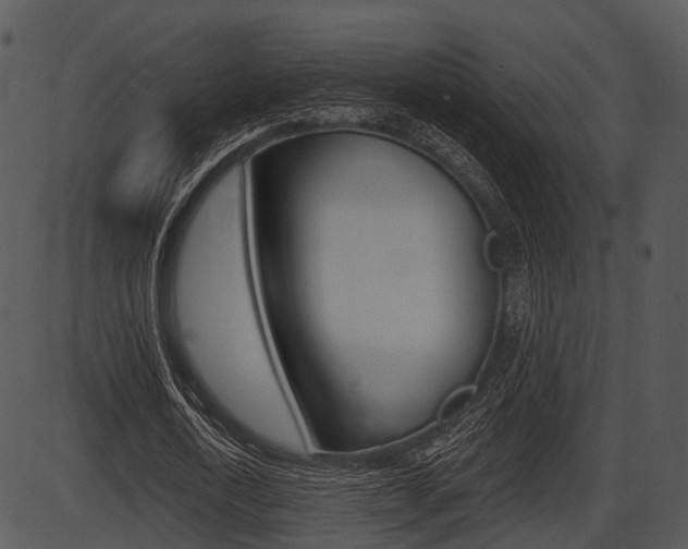 X0000087510722200704270753