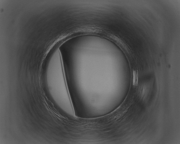 X0000087510723200704270753