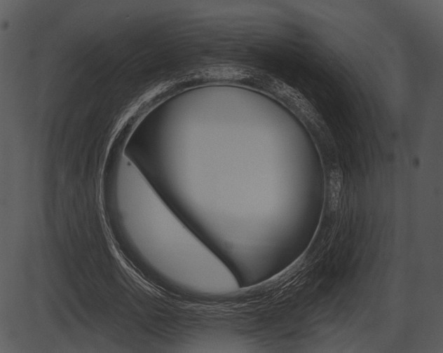 X0000087510726200704270753