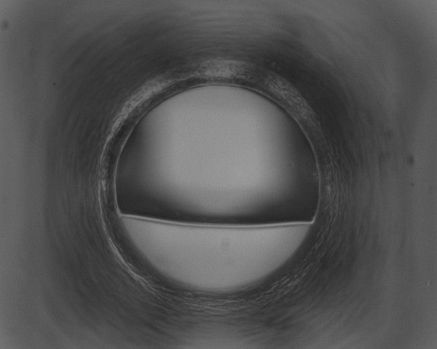 X0000087510728200704270753