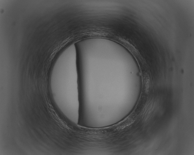 X0000087510729200704270753