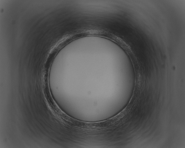 X0000087510730200704270753