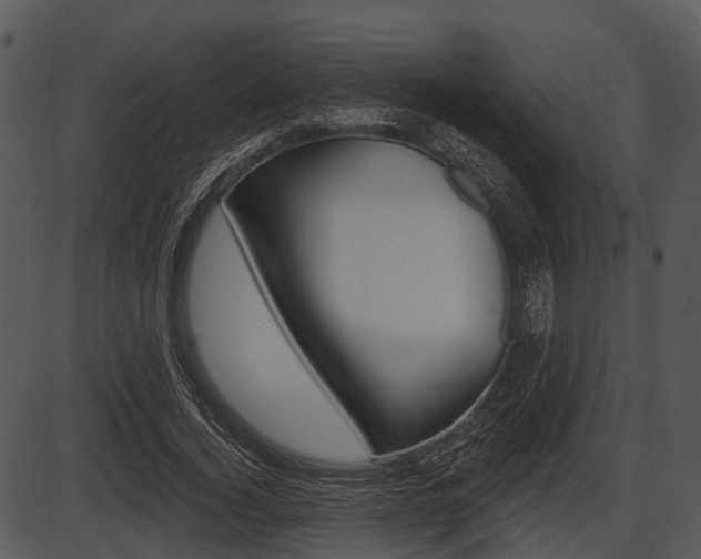 X0000087510732200704270753
