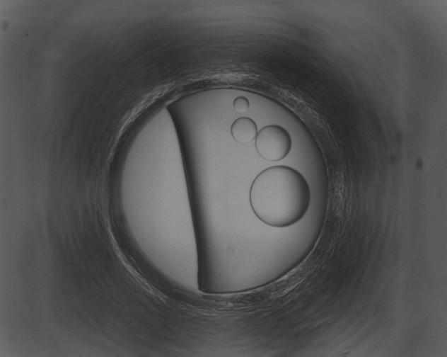 X0000087510734200704270753