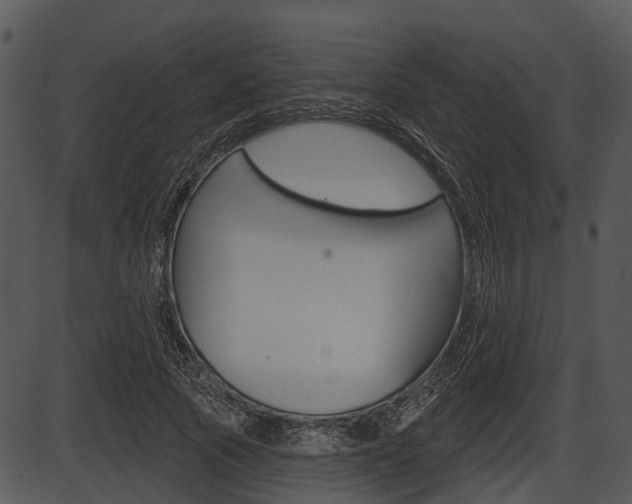 X0000087510737200704270753