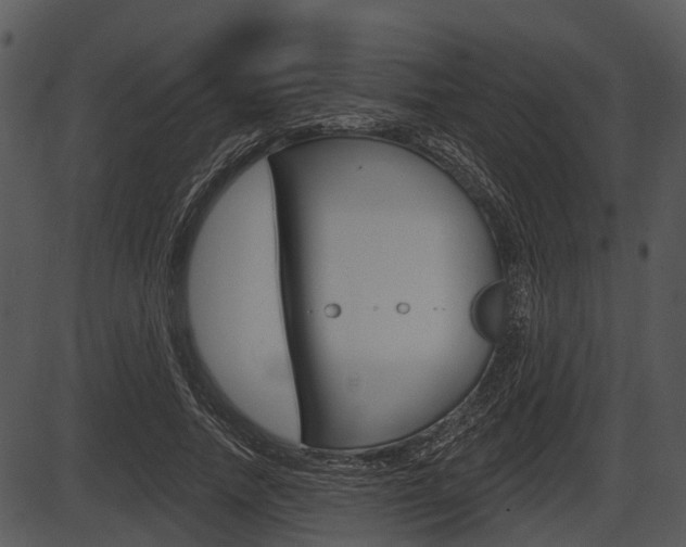 X0000087510738200704270753