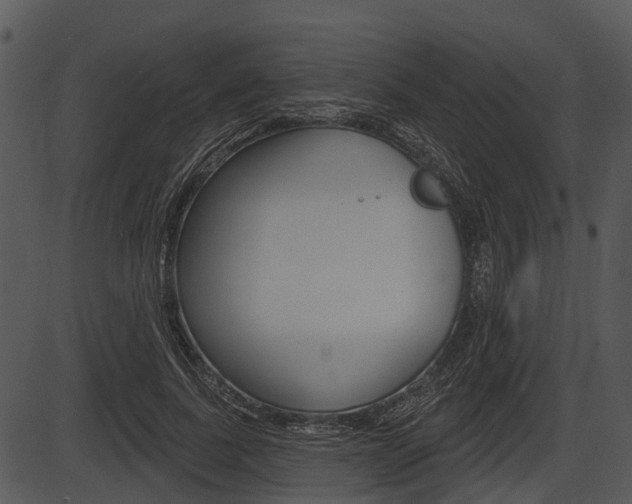 X0000087510739200704270753