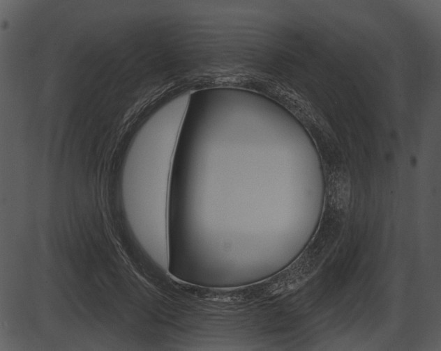 X0000087510740200704270753