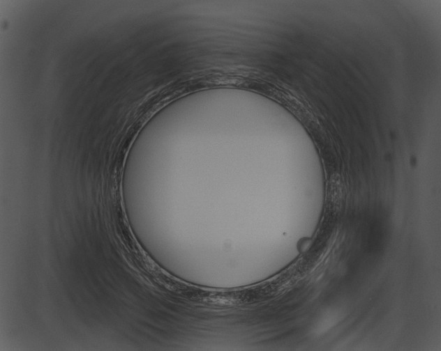 X0000087510741200704270753