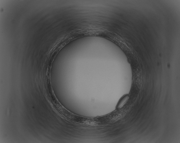 X0000087510742200704270753