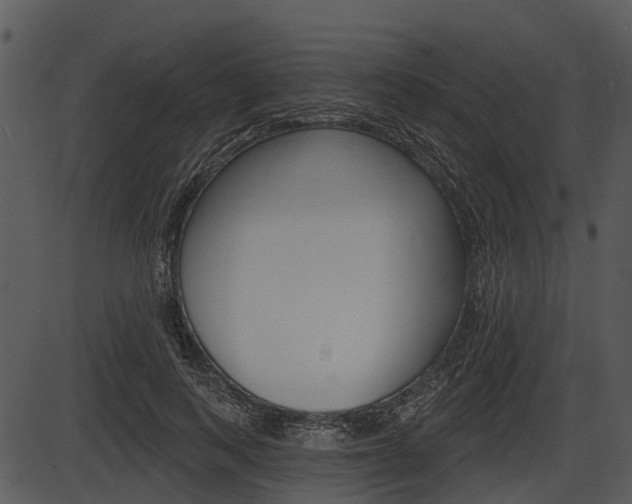 X0000087510743200704270753