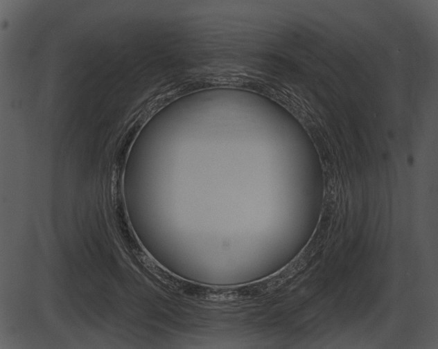 X0000087510744200704270753