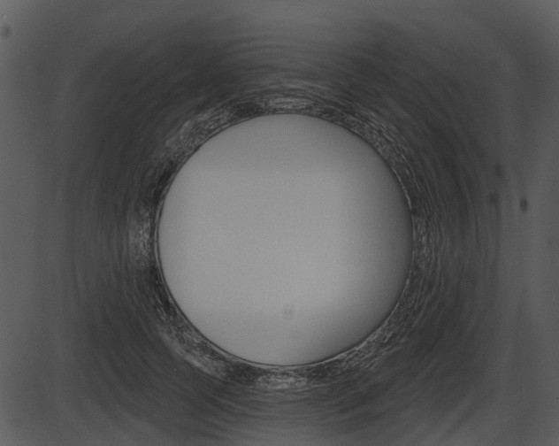 X0000087510745200704270753