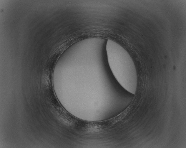 X0000087510746200704270753