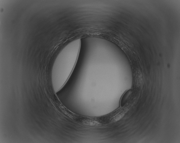 X0000087510747200704270753