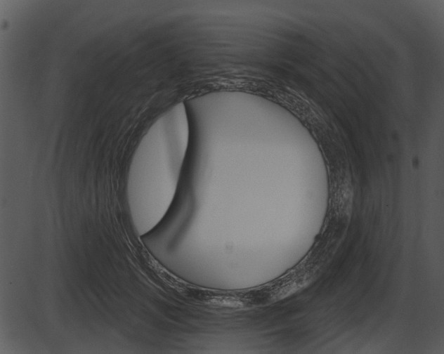 X0000087510749200704270753