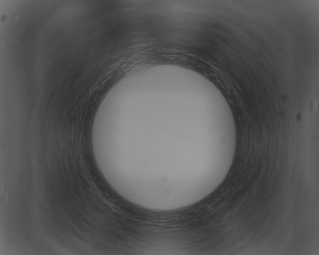 X0000087510750200704270753