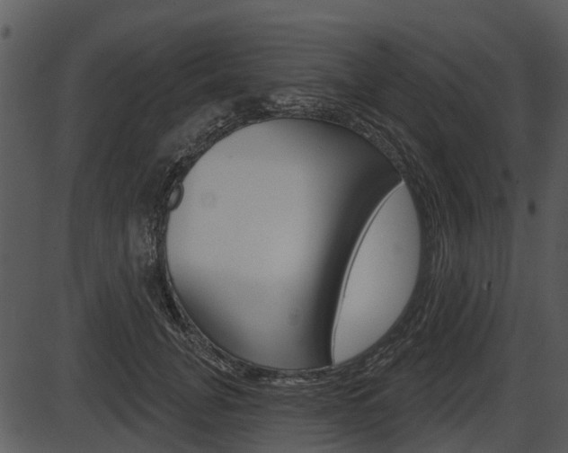 X0000087510751200704270753