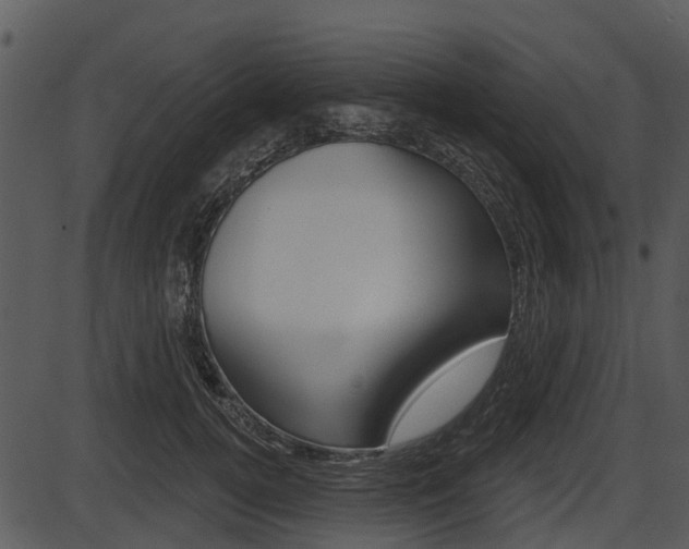 X0000087510752200704270753