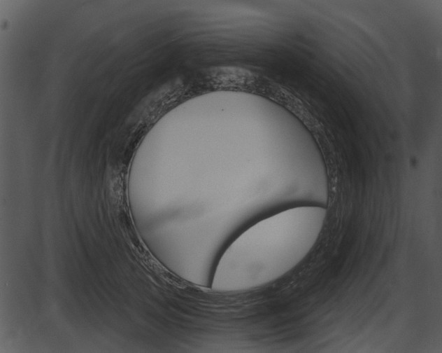 X0000087510753200704270753