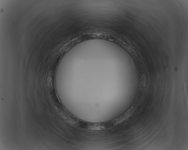 X0000087510754200704270753