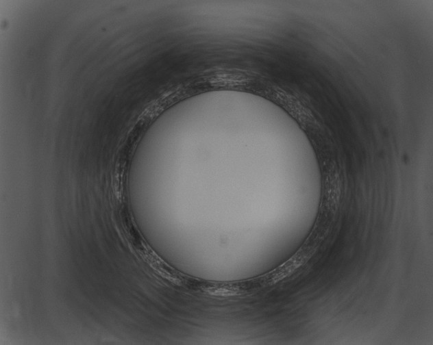 X0000087510755200704270753