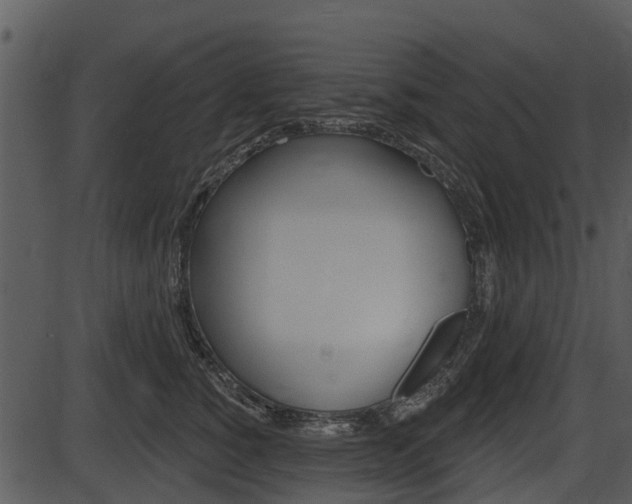 X0000087510760200704270753
