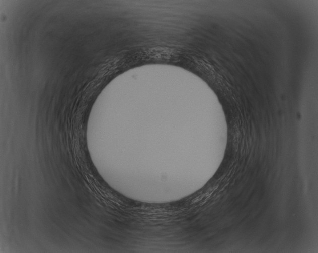 X0000087510769200704270753