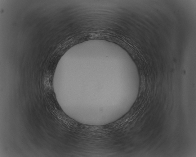 X0000087510770200704270753