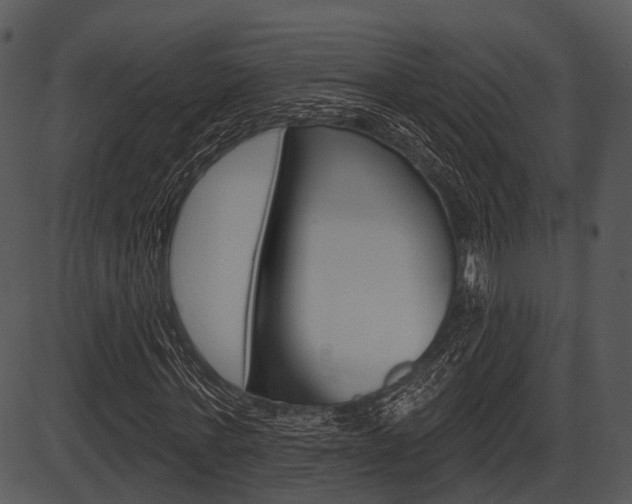 X0000087510771200704270753