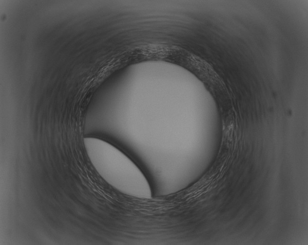 X0000087510772200704270753