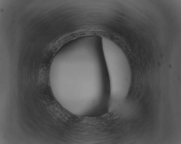 X0000087510773200704270753