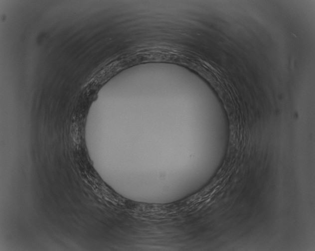 X0000087510774200704270753