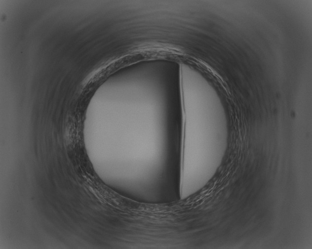 X0000087510775200704270753