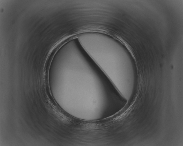 X0000087510779200704270753