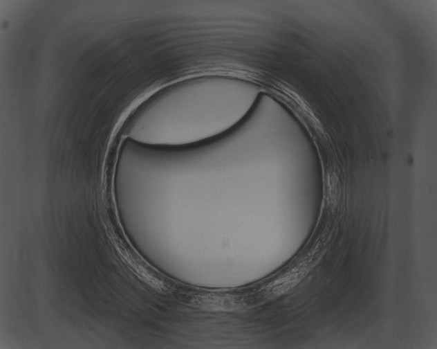 X0000087510780200704270753