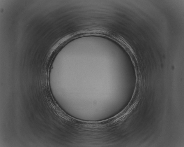 X0000087510781200704270753