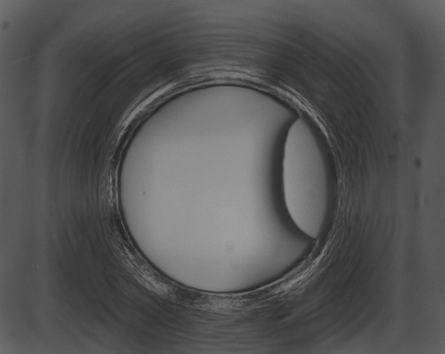 X0000087510782200704270753