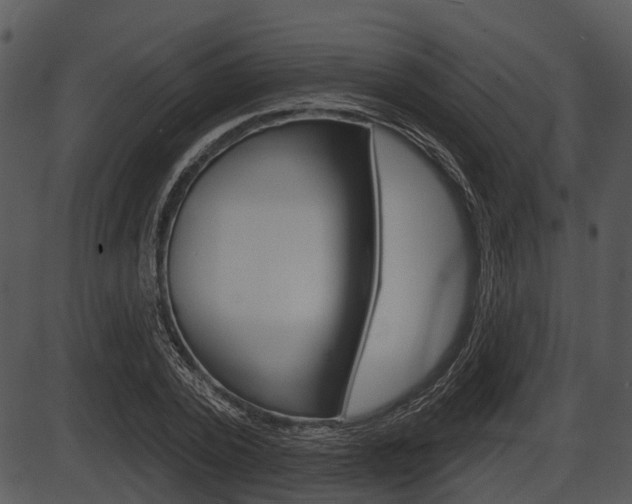 X0000087510784200704270753