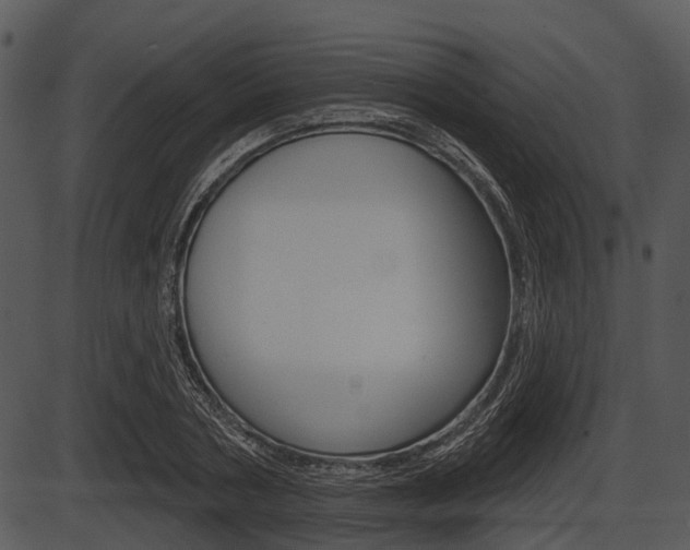 X0000087510786200704270752