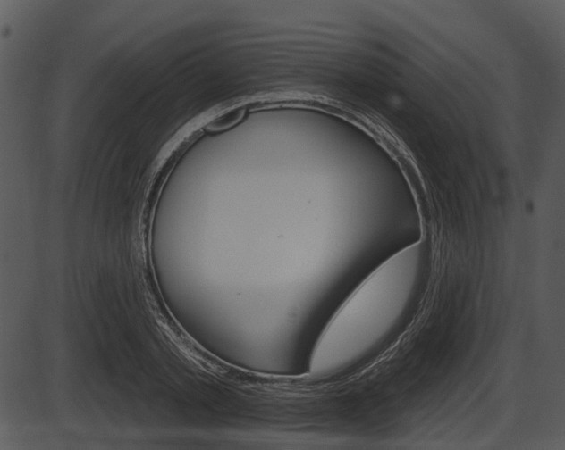 X0000087510789200704270752