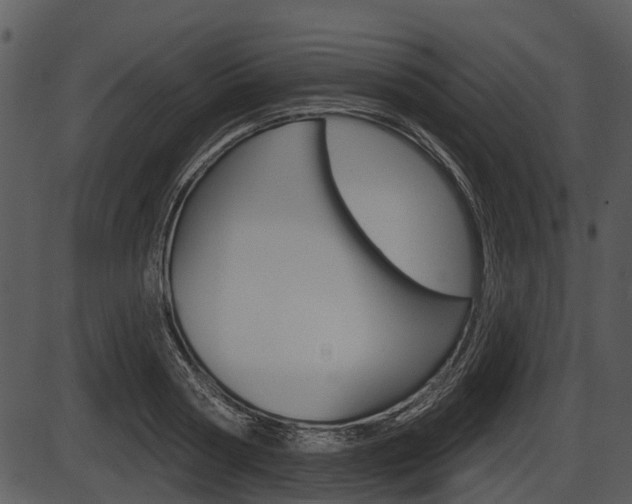 X0000087510794200704270752