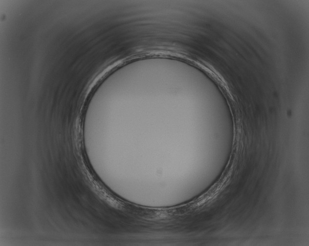 X0000087510798200704270752