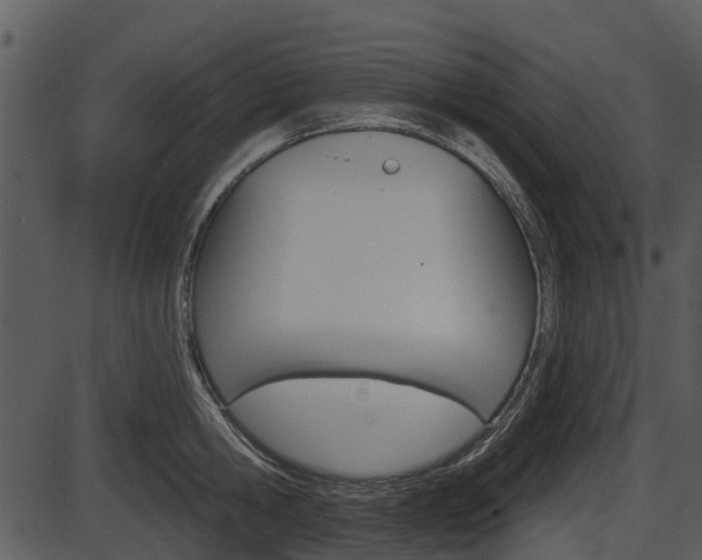 X0000087510806200704270752