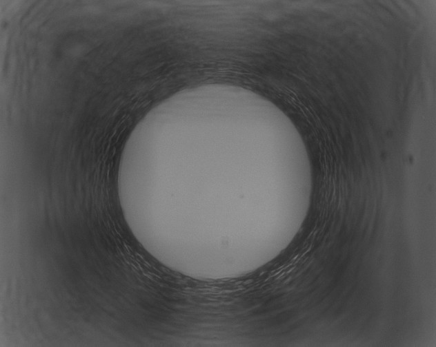 X0000087510818200704270751