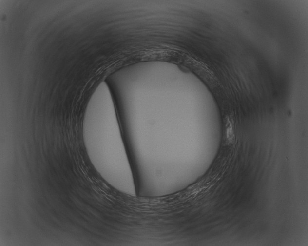 X0000087510819200704270751